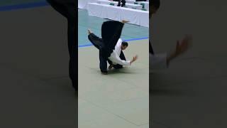 Aikido Guillaume Erard Nippon Budokan #aikido #aikikai
