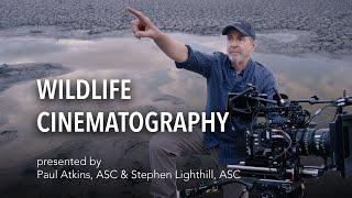 Wildlife Cinematography Course – Trailer