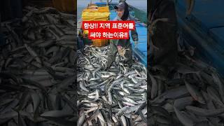 항상 지역 표준어를 써야 하는이유..ㅋㅋ