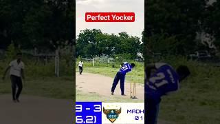 Perfect YOCKER BOWLED #shorts #cricket #trending