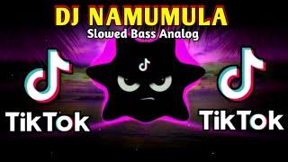 DJ NAMUMULA X MAKI TIKTOK VIRAL (SLOWED BASS ANALOG) 2024 REMIX