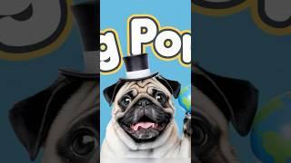 Pug vs Squirrel: The Cutest Rivalry Ever