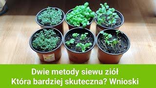 Dwie metody siewu ziół. Która bardziej skuteczna? Wnioski.