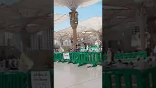 Masjid al nawabi. Mohammad nobi na. # #beautiful #travelling #entertainment #funny #fun #madina #win