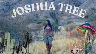 JOSHUA TREE - Things you should do + Girls trip + Best restaurants + Desert Airbnb