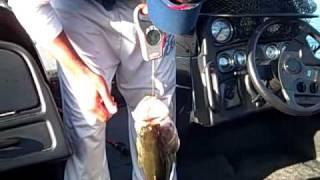Rod Wynn's 5.8 pound fish from HBC6 at DVL 3 19 10