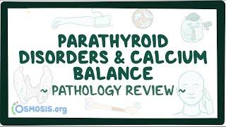 Parathyroid disorders and calcium balance: Pathology Review