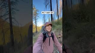 DAY 67 | Pacific Crest Trail #pct #thruhiking #pacificcresttrail