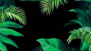 Top 05 Tropical Leaves Black Screen VFX FX Effects HD