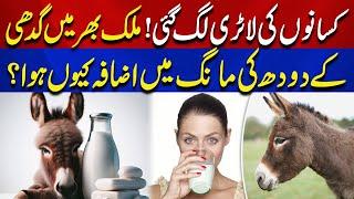 Why Is Donkey Milk in High Demand Across the Country? | Aik News