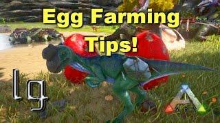 ARK: Survival Evolved - Egg Farming, Featuring Oviraptor Boost!