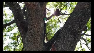 EXPERIENCE A CINEMATIC JOURNEY OF MY VILLAGE || THE 3LLER STUDIO