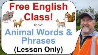 Let's Learn English! Topic: Animal Inspired Words & Phrases! ️