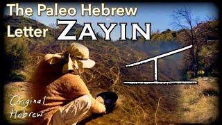 7. Zayin | Paleo Hebrew Alphabet | Father’s Refining Fire, Gold Digging, and more