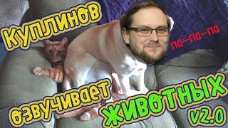 Куплинов озвучивает животных #2 | Смешные моменты с Куплиновым