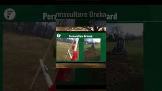 A Permaculture Orchard at a School