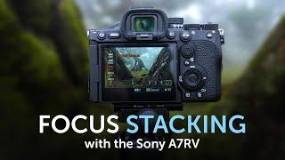 Focus Stacking with the Sony A7RV