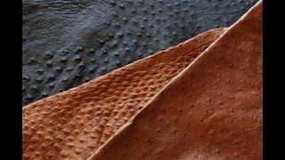 Full Quill vs. Smooth Ostrich: The Ultimate Cowboy Boot Leather Comparison