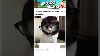 Мемы 2022 ( Тут Про100 мемы и короткие приколы с котами ) Подборка мемов 378 - Лучшие Мемы дня