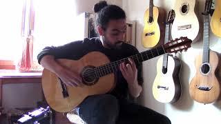 Steinauer Birdeye Maple Guitar played by Fernando Noriega