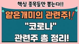 [관련주] 얕은개미의 핵심 관련주 정리! / 코로나 진단키트, 제약, 병실등