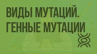 Виды мутаций. Генные мутации. Видеоурок по биологии 10 класс