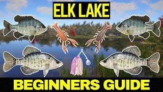 Russian Fishing 4 Beginners Guide (Elk Lake)