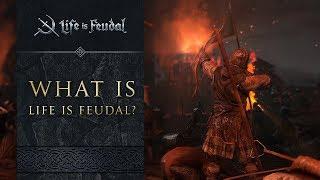 Newcomers Guide - Life is Feudal: MMO