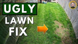 Renovate ANY Lawn This Autumn (Part 2)