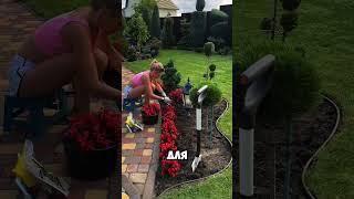 Интересные идеи для сада