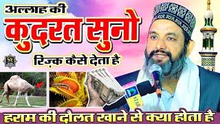 दिल पर तीर के जैसी लगेगी ये तक़रीर | Asif Raza Saifi New Taqreer 2024 | Asif Raza Saifi New Bayan 202