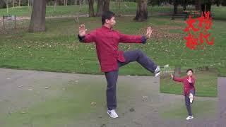 Yang Family Tai Chi Essential Form Performed by Master Yang Jun