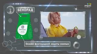 Бенорад - классический универсальный фунгицид