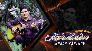 Мурод Каримов Муҳаббатим | Murod Karimov Muhabbatim (Mayofka  Geutar version) 2024 #klip2024