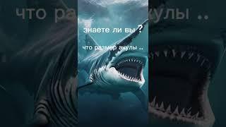 подпишись тут интересно