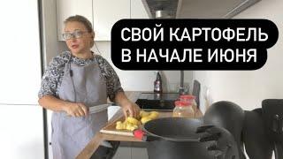 ЕДИМ СВОЮ КАРТОШКУ/ Где купить настоящую колбасу  /Станица Натухаевская/Life in Russia/