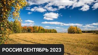 ТАРО ПРОГНОЗ ДЛЯ РОССИИ НА СЕНТЯБРЬ 2023