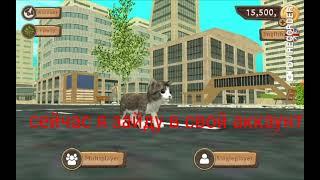 как быстро прокачаться в Cat Sim подробное объяснение