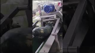 Automatic White Gourd Peeling Machine