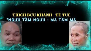 0614. THANH GIONG TV. Thích Bửu Khánh – Tú Tuệ: “Ngưu tầm ngưu – Mã tầm mã”!