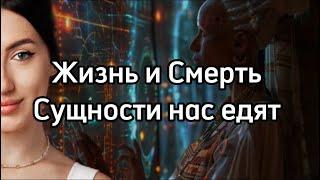 Есть ли жизнь после смерти? Сущности почему они нас едят