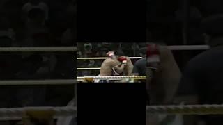 Muay Thai vs Muay Boran 3: Grips and Locks #muaythai #muayboran #martialarts