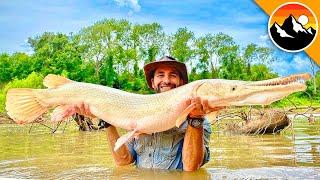 GAR WARS! The Battle to Save this GIANT Fish!