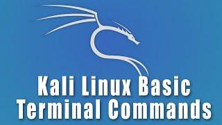 Kali Linux Basic Terminal Commands | Linux Fundamentals for Ethical Hacking