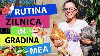 RUTINA ZILNICA - TOT ce fac EU intr-o ZI normala!