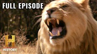 Lion Brutally Attacks Man on Game Reserve | Human Prey (S1, E2) | Full Episode