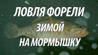 ПОДЛЕДНАЯ ЗИМНЯЯ РЫБАЛКА НА ФОРЕЛЬ С МОРМЫШКОЙ