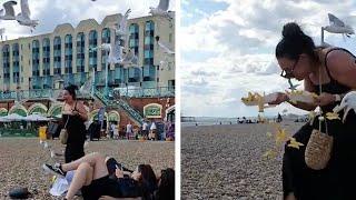 Hungry Seagulls Chase Woman On Beach