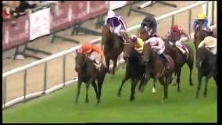 Sea The Stars - Prix de l'Arc de Triomphe 2009