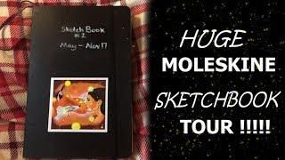 Huge Moleskine Sketchbook Tour!!! // May - Nov 2017 (EmilyArts)